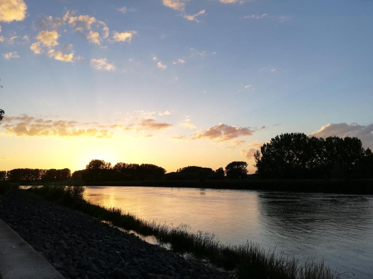 Wetteren B&B De Stuifduinen المظهر الخارجي الصورة