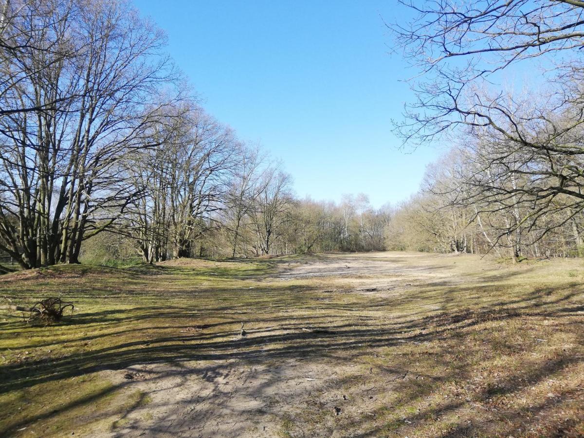 Wetteren B&B De Stuifduinen المظهر الخارجي الصورة