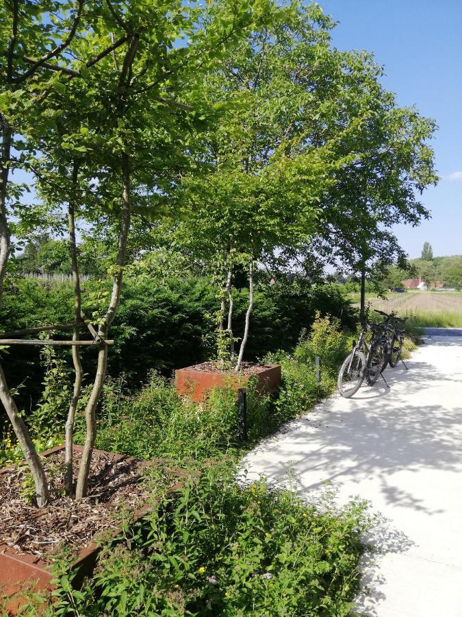 Wetteren B&B De Stuifduinen المظهر الخارجي الصورة