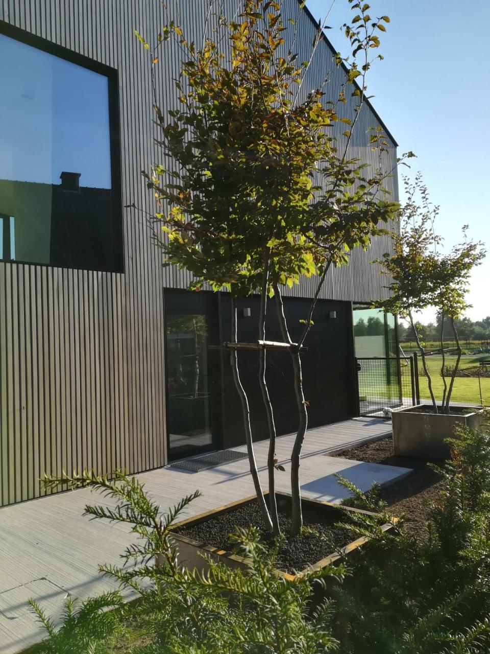 Wetteren B&B De Stuifduinen المظهر الخارجي الصورة