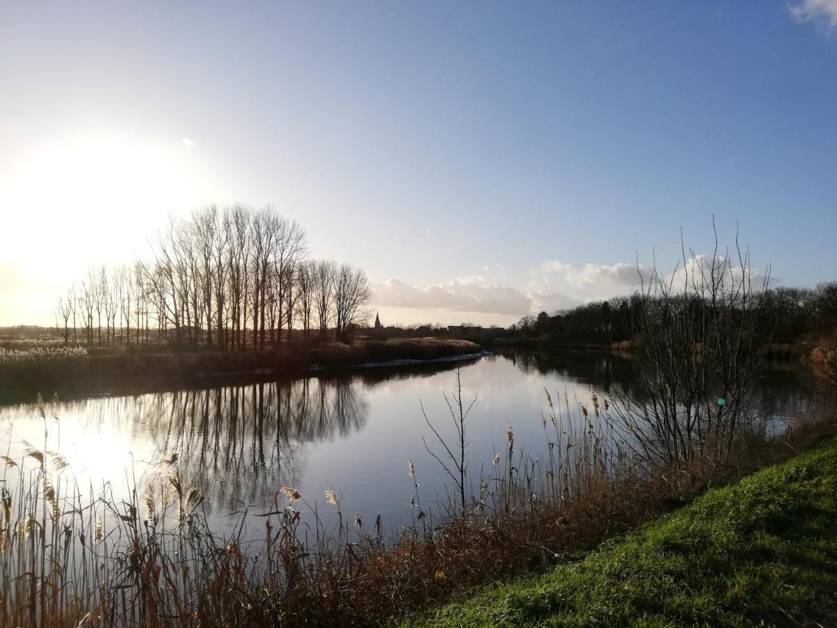 Wetteren B&B De Stuifduinen المظهر الخارجي الصورة
