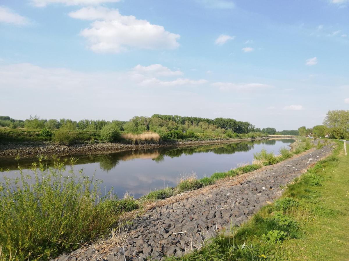 Wetteren B&B De Stuifduinen المظهر الخارجي الصورة